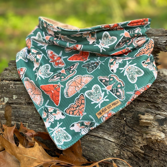 Woodland Moth - Everyday Stretch Bandana