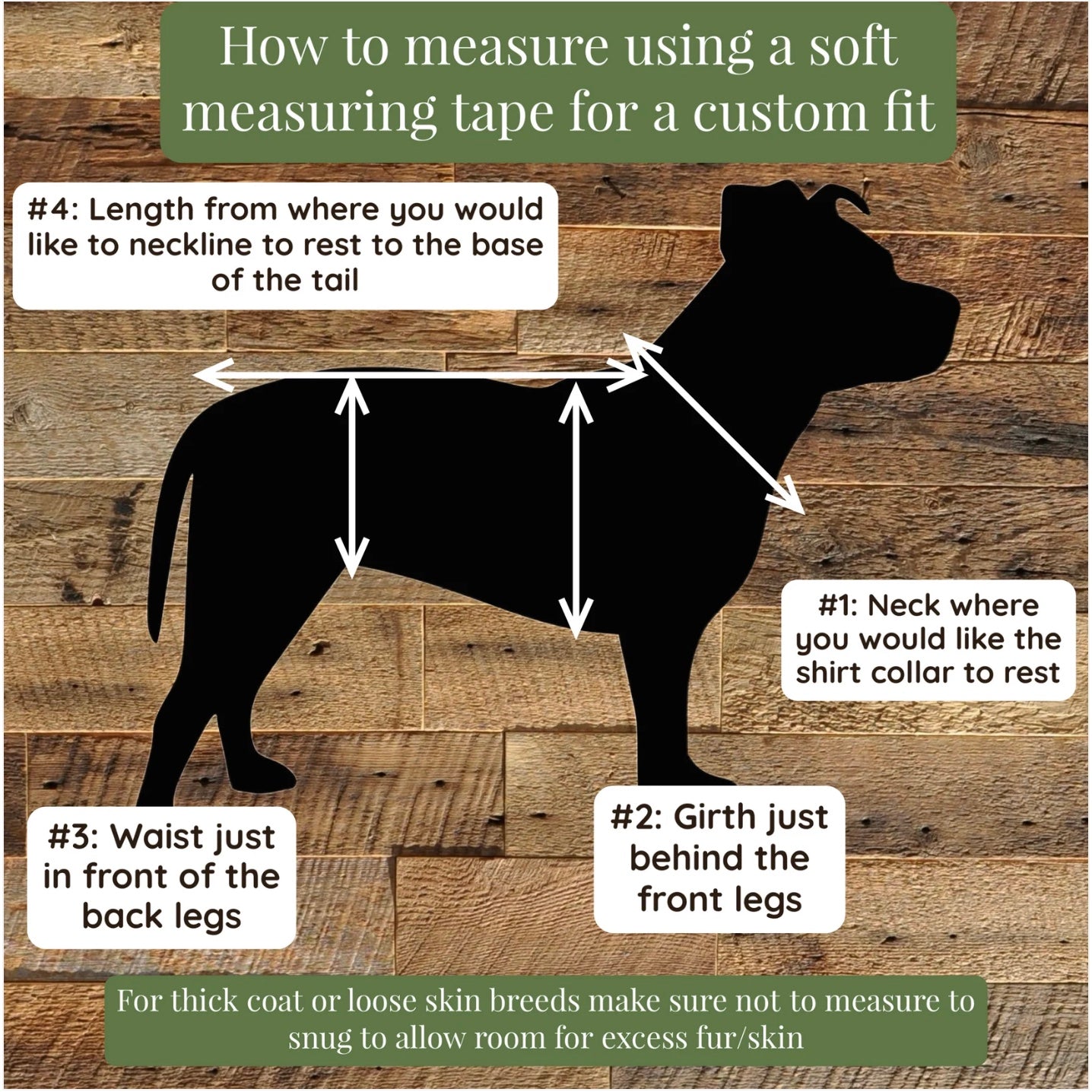 STEP #1 - Pick your body color - Build a Dino Dog