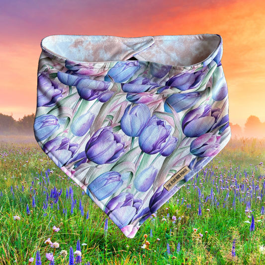 Tulip Sunrise - Everyday Stretch Bandana